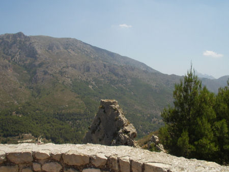 click picture to return to gallery